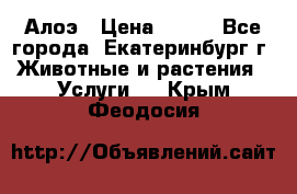 Алоэ › Цена ­ 150 - Все города, Екатеринбург г. Животные и растения » Услуги   . Крым,Феодосия
